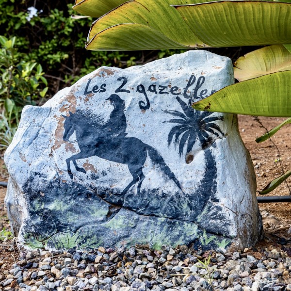 Property Detail